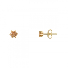 Xenox Ohrstecker Silber Krappenfassung mit champagnerfarbenen Zirkonia Ø 4mm