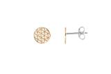Xenox Ohrstecker