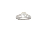 Xenox Ring Silber mit weißer Perle 8mm