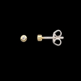 Xenox Ohrstecker Silber vergoldet mit Zirkonia, Ø 1,6mm