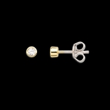 Xenox Ohrstecker Silber vergoldet mit Zirkonia Ø 2,5mm