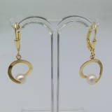 Ohrpendel Ring mit Perle, 333/-Gelbgold