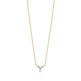 Xenox Kette Silber vergoldet