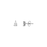 Xenox Ohrstecker Silber rhodiniert
