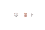 Xenox Ohrstecker Silber rosévergoldet